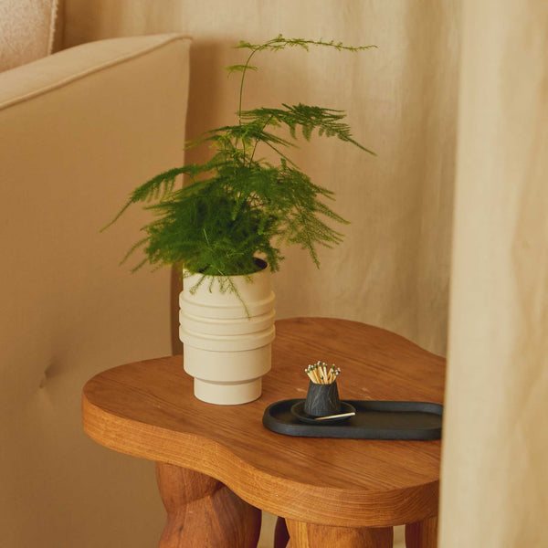 Charles And Marie STRATA PLANT VESSEL | Creme-farbiger BLUMENTOPF & PFLANZGEFÄSS | Simone Brewster | Areaware