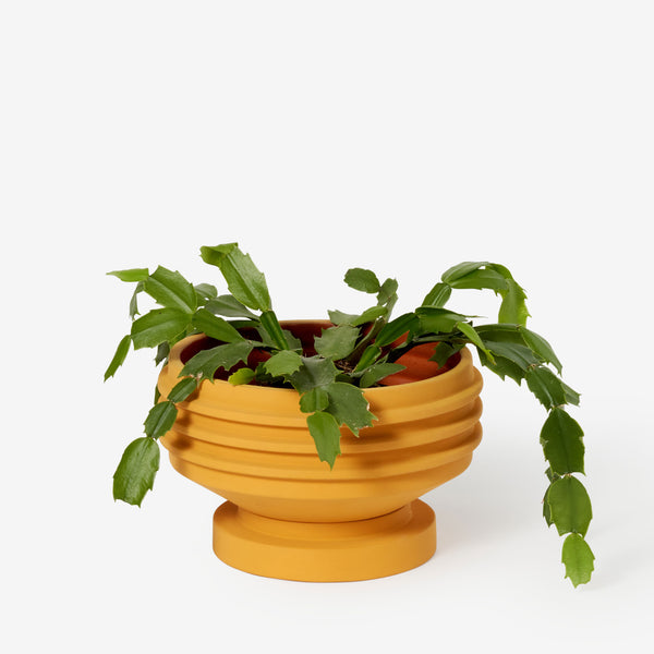 charles and marie STRATA PLANT VESSEL | Gelber BLUMENTOPF & PFLANZGEFÄSS | Simone Brewster | Areaware