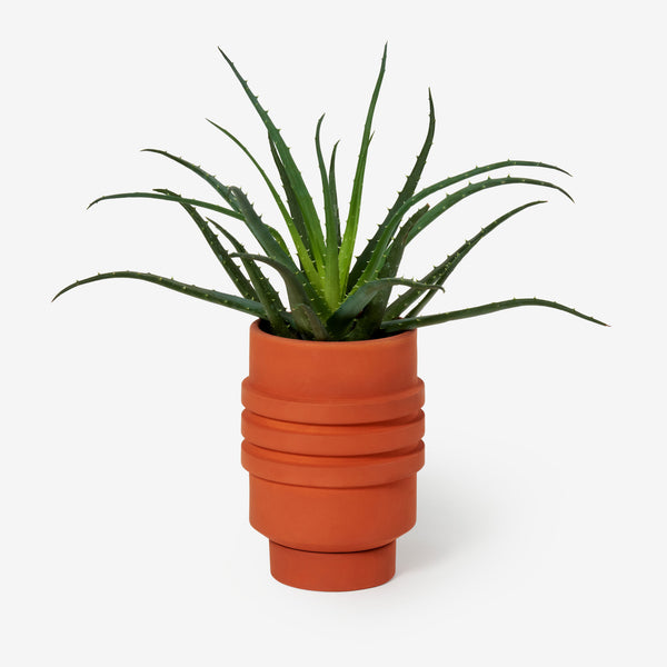 charles and marie STRATA PLANT VESSEL | Terracotta-farbiger BLUMENTOPF & PFLANZGEFÄSS | Simone Brewster | Areaware