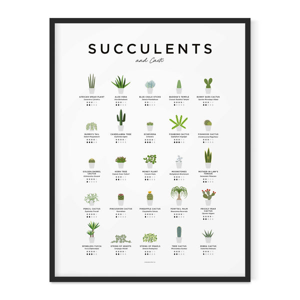 Charles And Marie SUCCULENTS & CACTI GUIDE - Sukkulenten & Kakteen Poster 40x50 Cm | Everlong Print