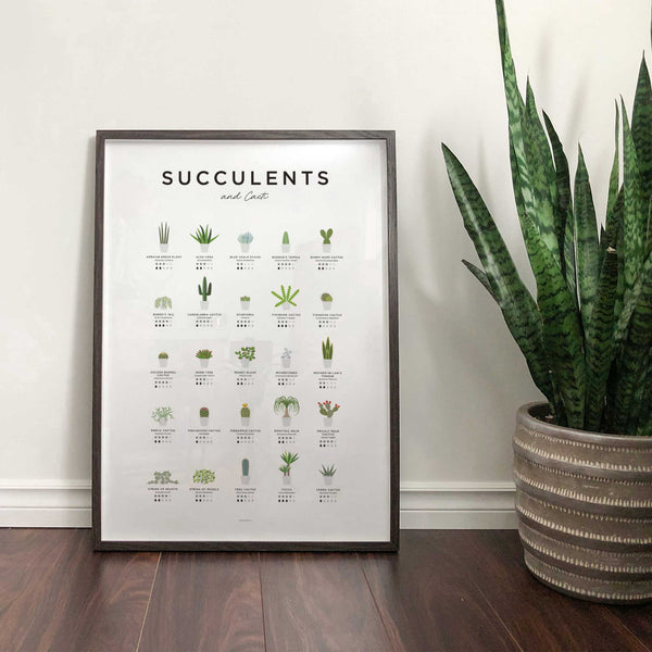 charles and marie SUCCULENTS & CACTI GUIDE - Sukkulenten & Kakteen Poster 40x50 cm | Everlong Print