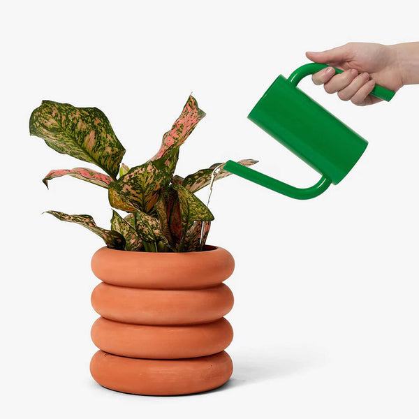 Charles And Marie TANGO Watering Can | Kleine Grüne GIESSKANNE Für 550 Ml | Henry Julier & Pete Oyler | Areaware