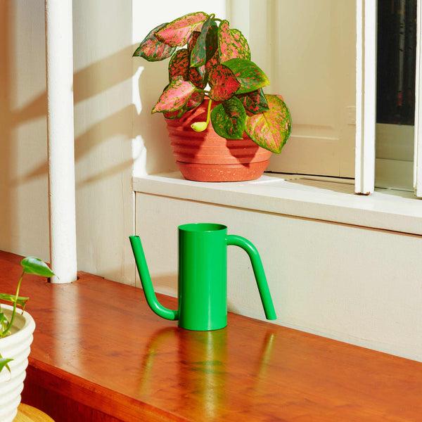 Charles And Marie TANGO Watering Can | Kleine Grüne GIESSKANNE Für 550 Ml | Henry Julier & Pete Oyler | Areaware
