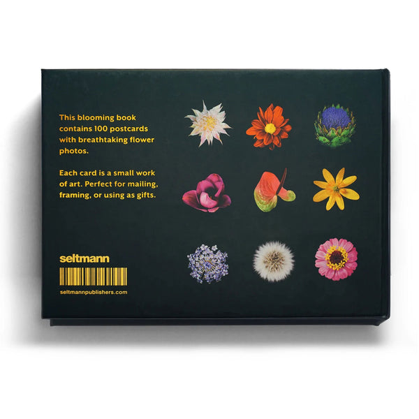 Charles And Marie THE BLOOMING BOOK | Flamboyant Flowers | Blumen-Postkarten BUCH | Nicolas Mériel | Seltmann+söhne