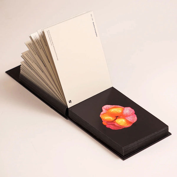 Charles And Marie THE BLOOMING BOOK | Flamboyant Flowers | Blumen-Postkarten BUCH | Nicolas Mériel | Seltmann+söhne
