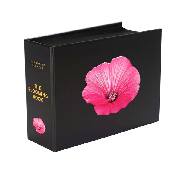 charles and marie THE BLOOMING BOOK | Flamboyant Flowers | Blumen-Postkarten BUCH | Nicolas Mériel | seltmann+söhne