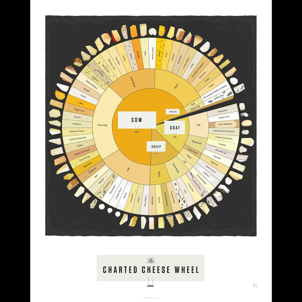 Charles And Marie THE CHARTED CHEESE WHEEL | Infografik KÄSE POSTER | 41x51 Cm | Pop Chart