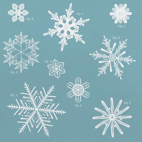 Charles And Marie The FRACTAL FORMATIONS Of SNOWFLAKES | GRUßKARTE | Pop Chart Lab