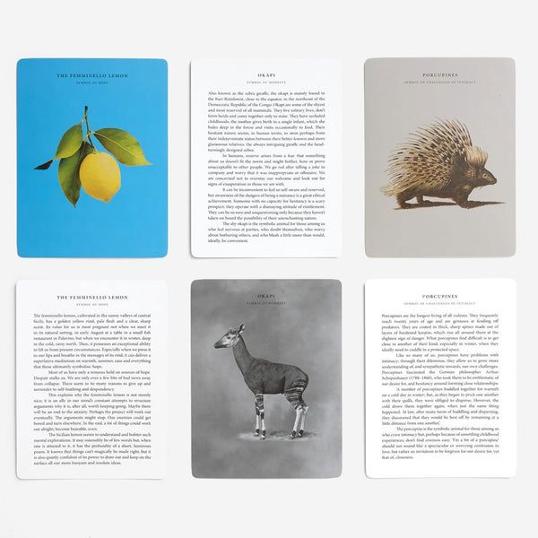 Charles And Marie WISDOM OF NATURE | KARTENSPIEL | English Edition | The School Of Life