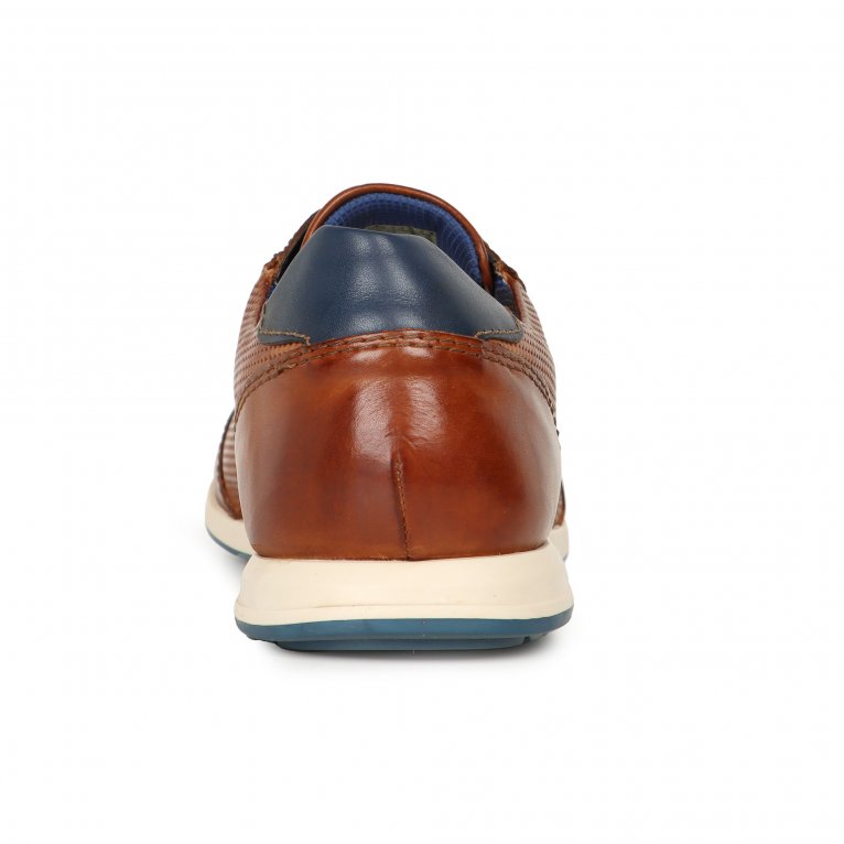 Charles Clinkard Bugatti Taman Mens Trainers