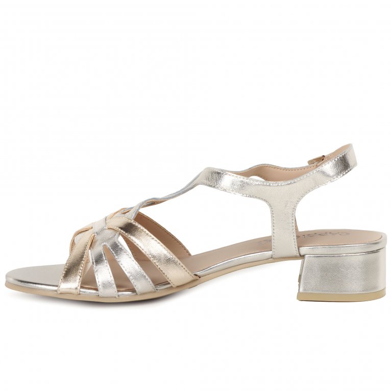 Charles Clinkard Caprice Compass Womens Sandals