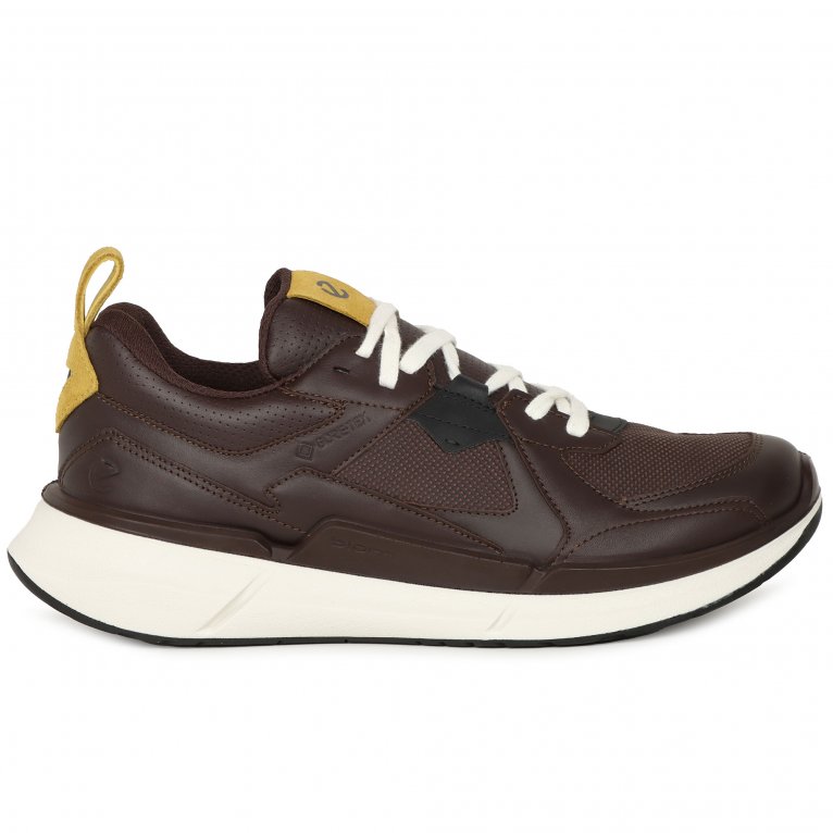 Charles Clinkard Ecco Biom 2.2 M GTX Mens Trainers