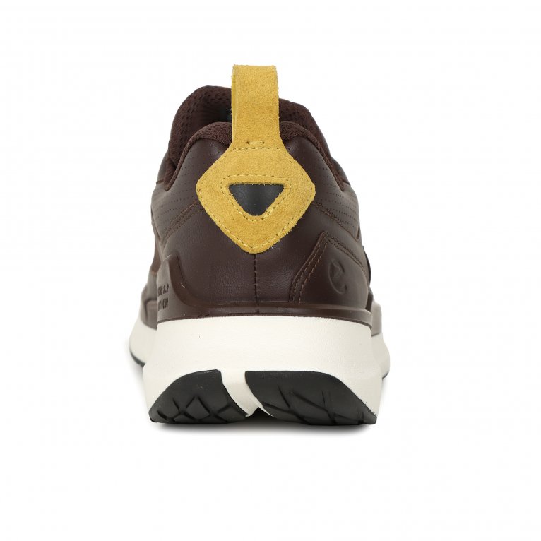 Charles Clinkard Ecco Biom 2.2 M GTX Mens Trainers