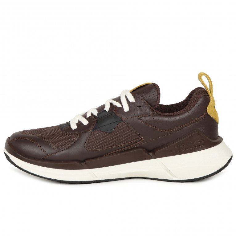Charles Clinkard Ecco Biom 2.2 M GTX Mens Trainers