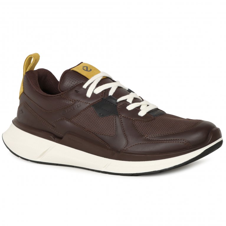 charles clinkard Ecco Biom 2.2 M GTX Mens Trainers