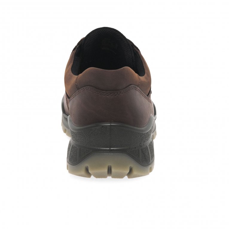 Charles Clinkard Ecco Chiltern Gore-tex Shoes