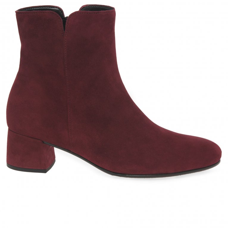 Charles Clinkard Gabor Abbey Womens Ankle Boots