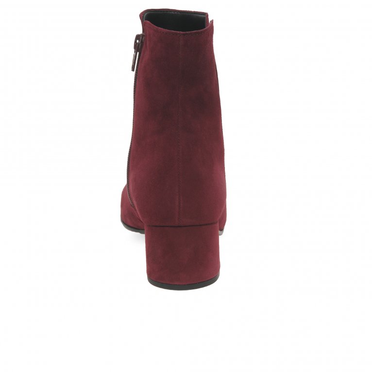 Charles Clinkard Gabor Abbey Womens Ankle Boots
