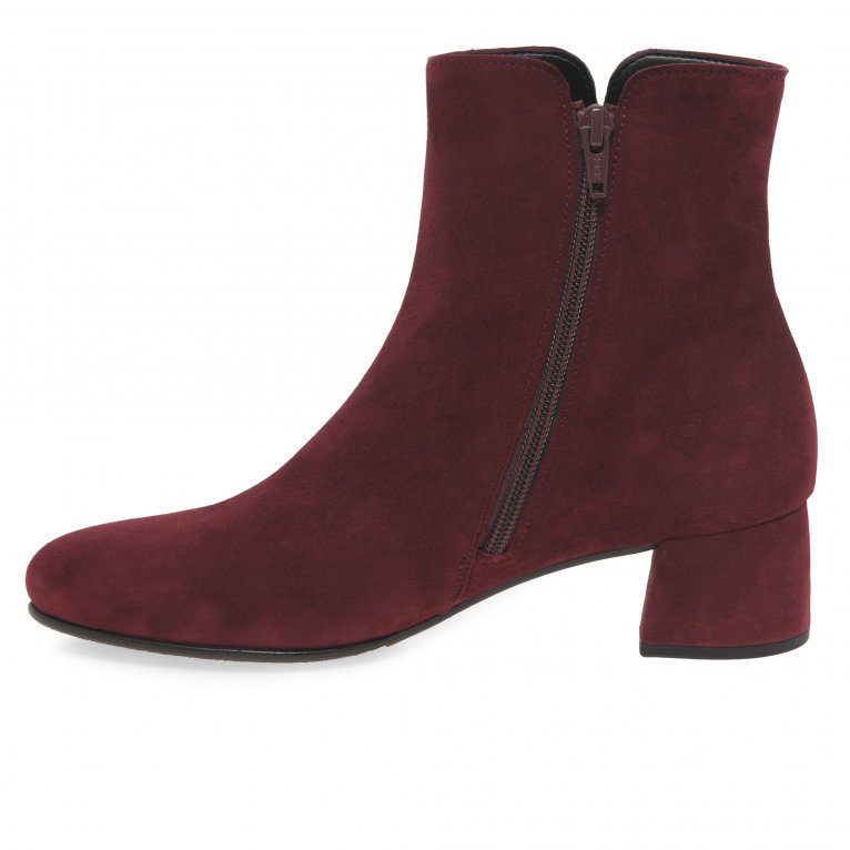 Charles Clinkard Gabor Abbey Womens Ankle Boots