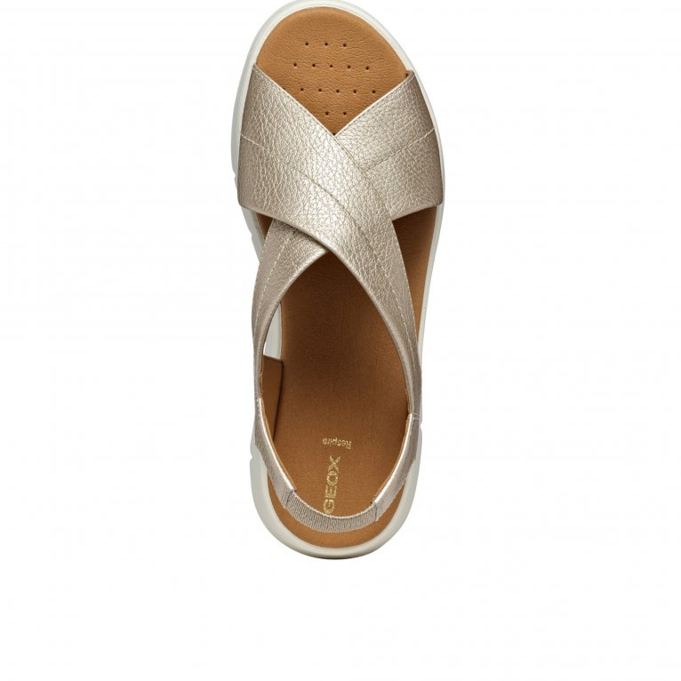 Charles Clinkard Geox D Dandra 40 Womens Sandals