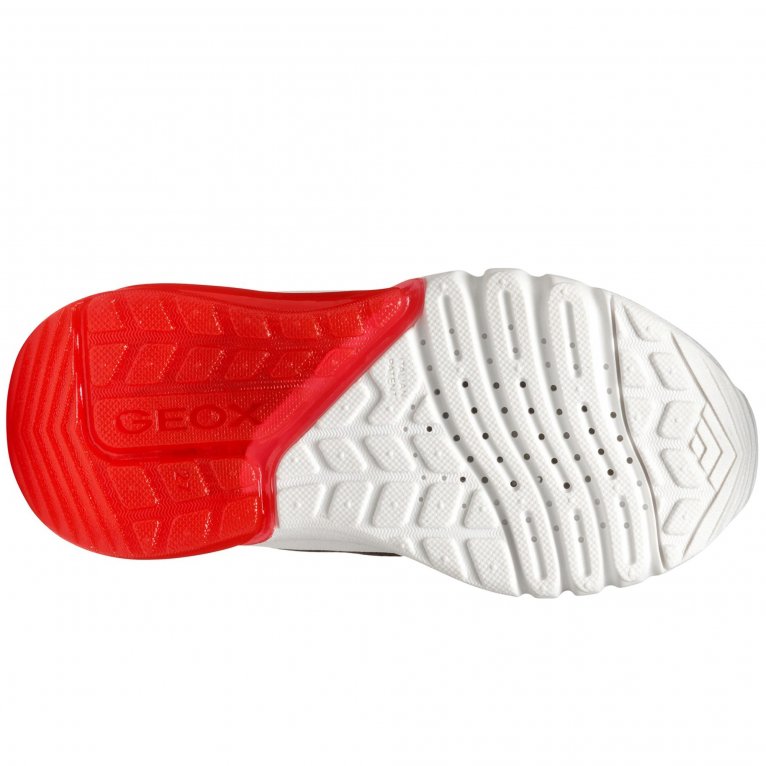 Charles Clinkard Geox J Ciberdron Boys Trainers