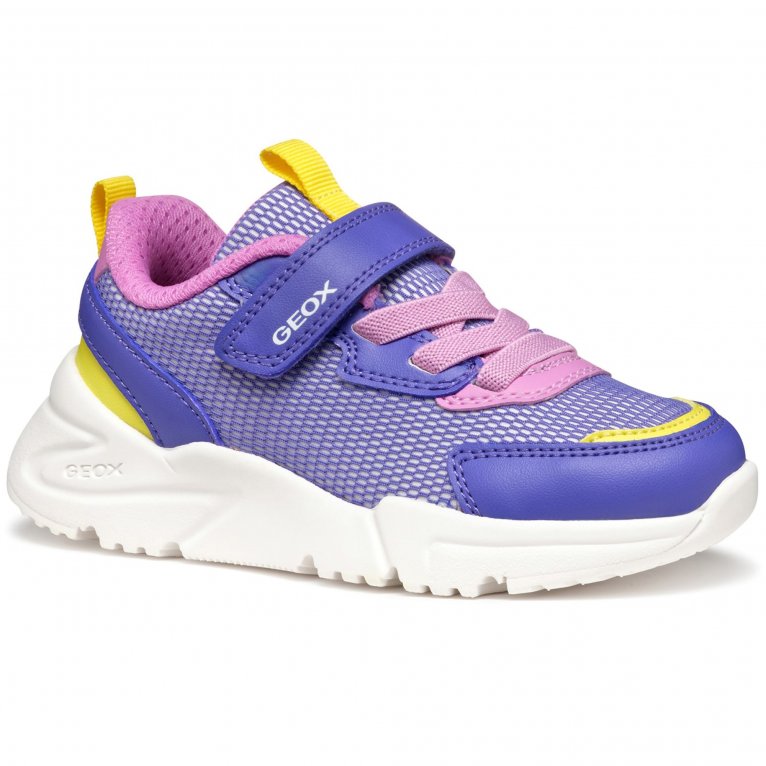 charles clinkard Geox J Loftus Girls Trainers