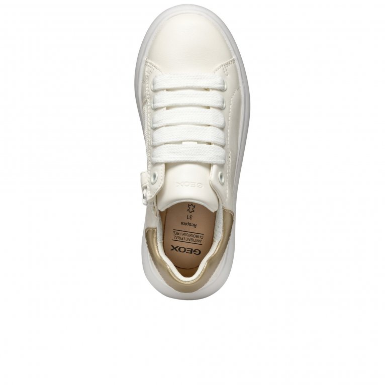 Charles Clinkard Geox J Puffypop Kids Trainers