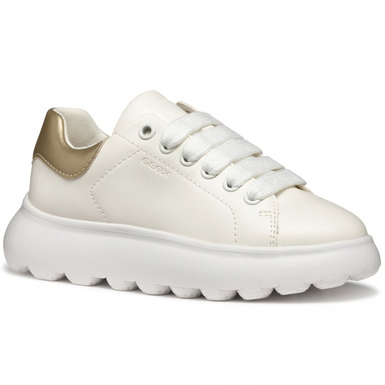 charles clinkard Geox J Puffypop Kids Trainers