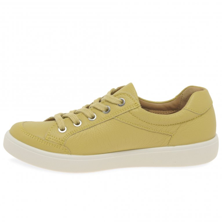 Charles Clinkard Hotter Chase II Womens Trainers