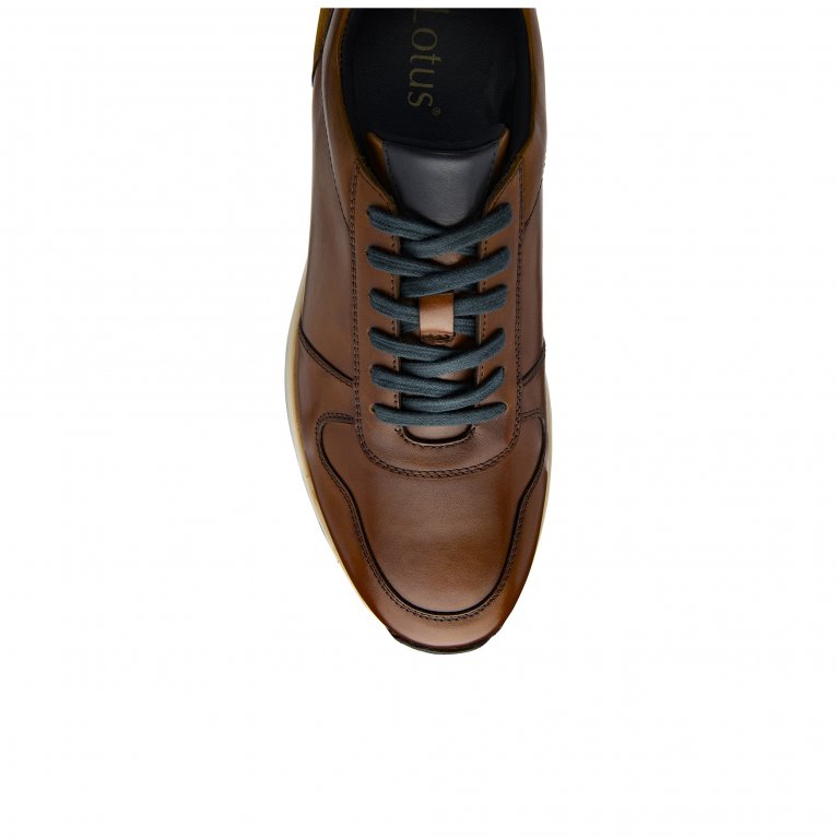 Charles Clinkard Lotus Ardenza Mens Trainers