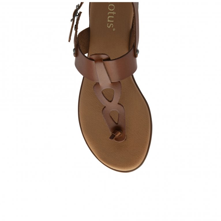 Charles Clinkard Lotus Bibiana Womens Sandals
