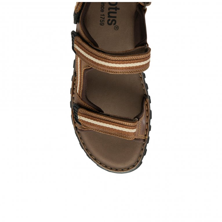 Charles Clinkard Lotus Gus Mens Sandals