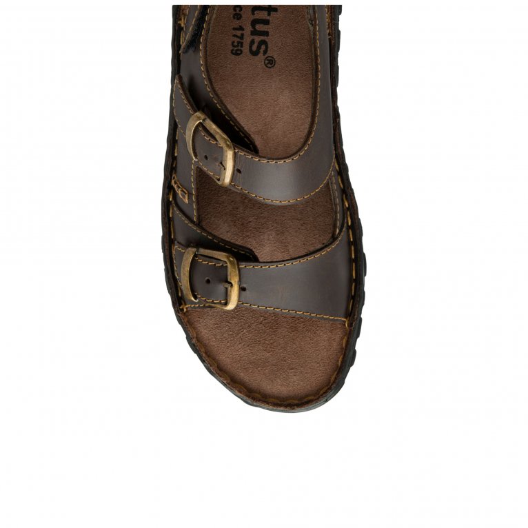 Charles Clinkard Lotus Jasper Mens Sandals