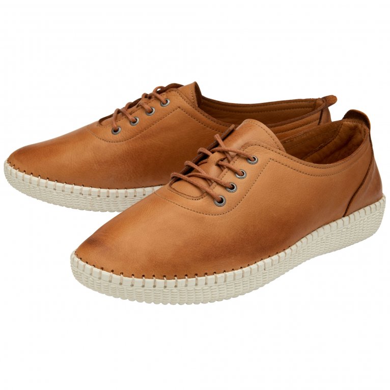 Charles Clinkard Lotus Juliana Womens Trainers