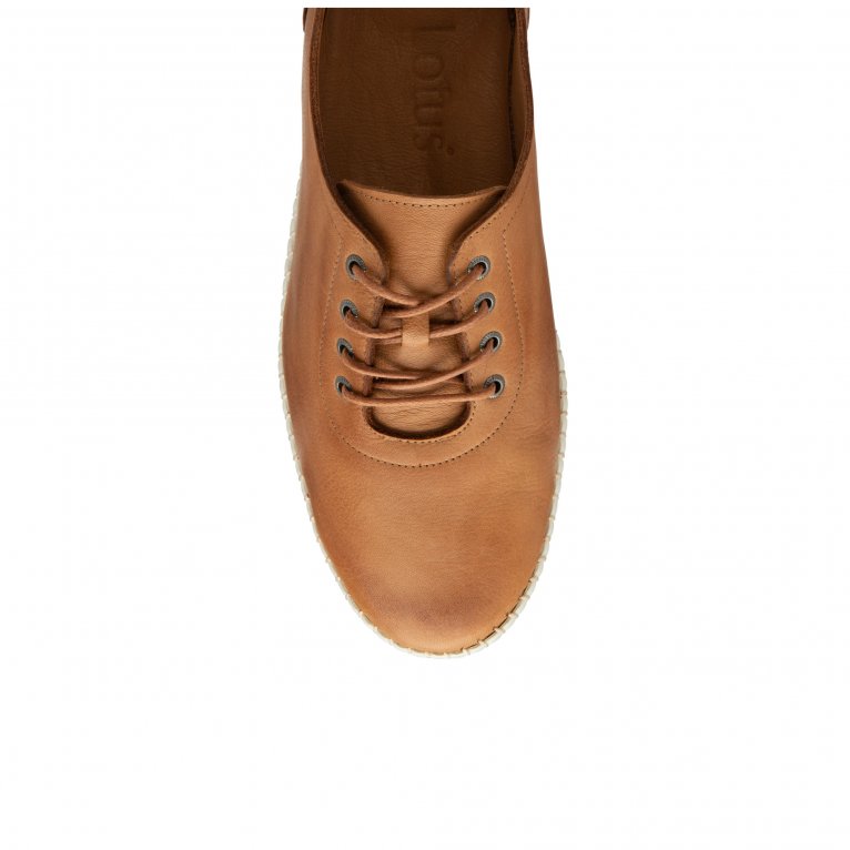 Charles Clinkard Lotus Juliana Womens Trainers