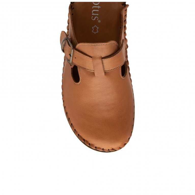 Charles Clinkard Lotus Kerry Womens Mules