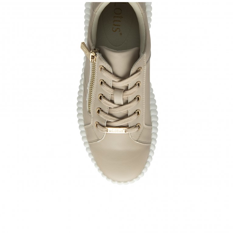 Charles Clinkard Lotus Kora Womens Trainers
