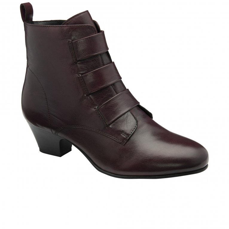 charles clinkard Lotus Lorissa Womens Ankle Boots
