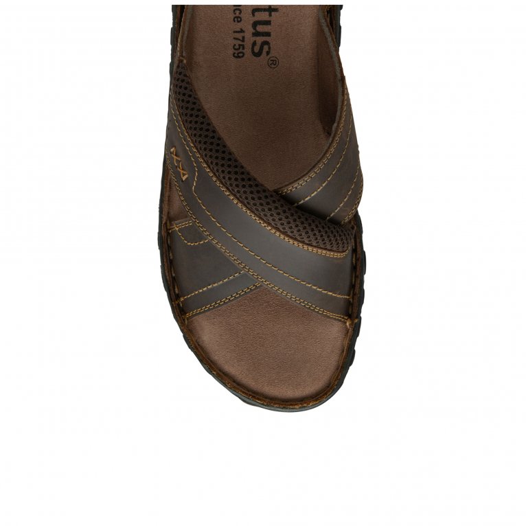 Charles Clinkard Lotus Mikey Mens Sandals