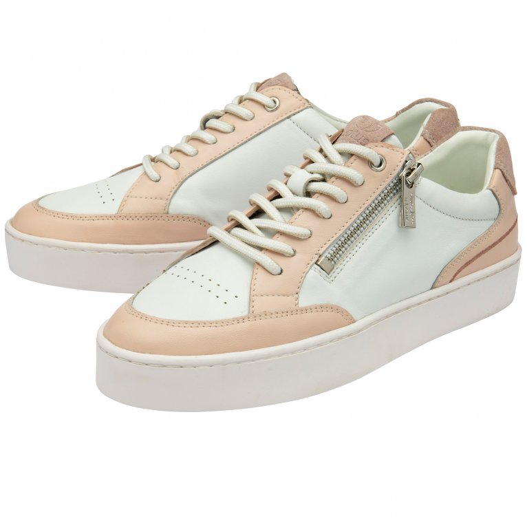 Charles Clinkard Lotus Sierra Womens Trainers