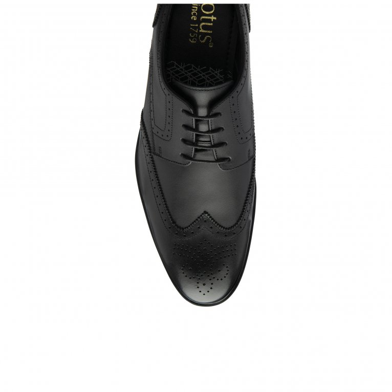 Charles Clinkard Lotus Skipton Mens Brogues