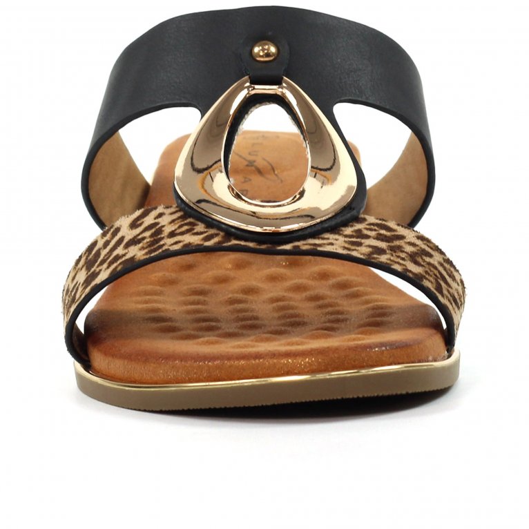 Charles Clinkard Lunar (GRS) Paradise Womens Sandals