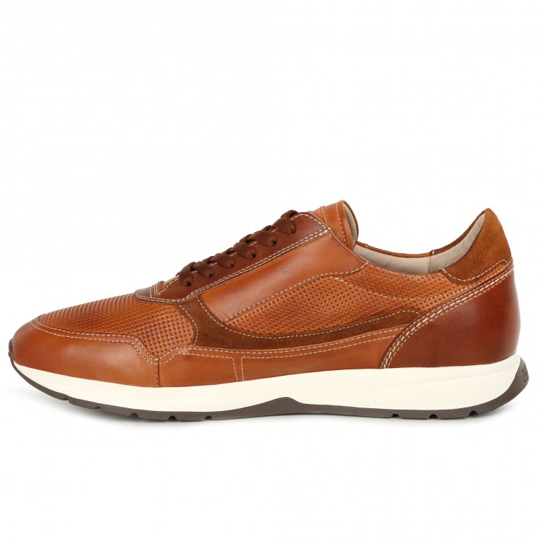 Charles Clinkard Pikolinos Getafe Mens Trainers