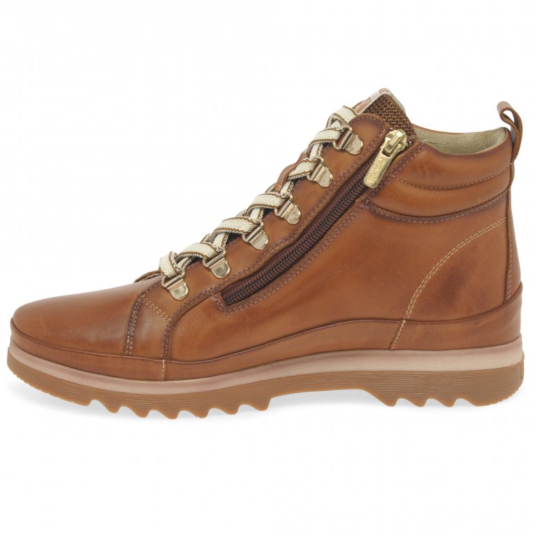 Charles Clinkard Pikolinos Vigo Womens Ankle Boots