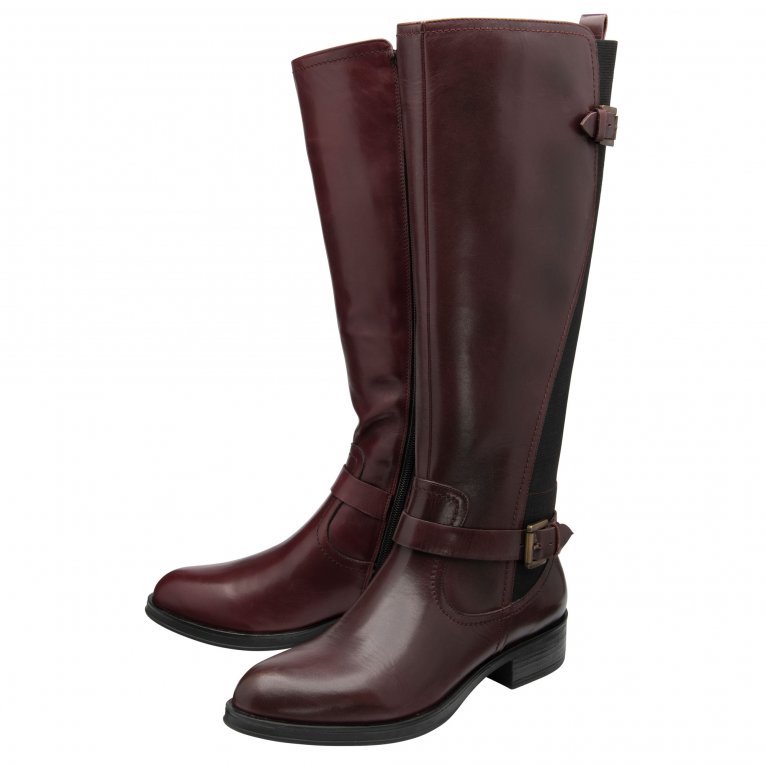Charles Clinkard Ravel May Womens Knee High Boots