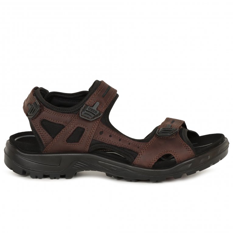 Charles Clinkard Ecco Yucatan Mens Rip Tape Fastening Sandals