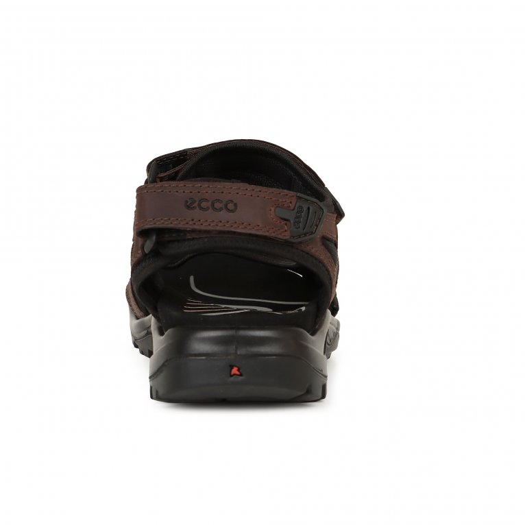 Charles Clinkard Ecco Yucatan Mens Rip Tape Fastening Sandals