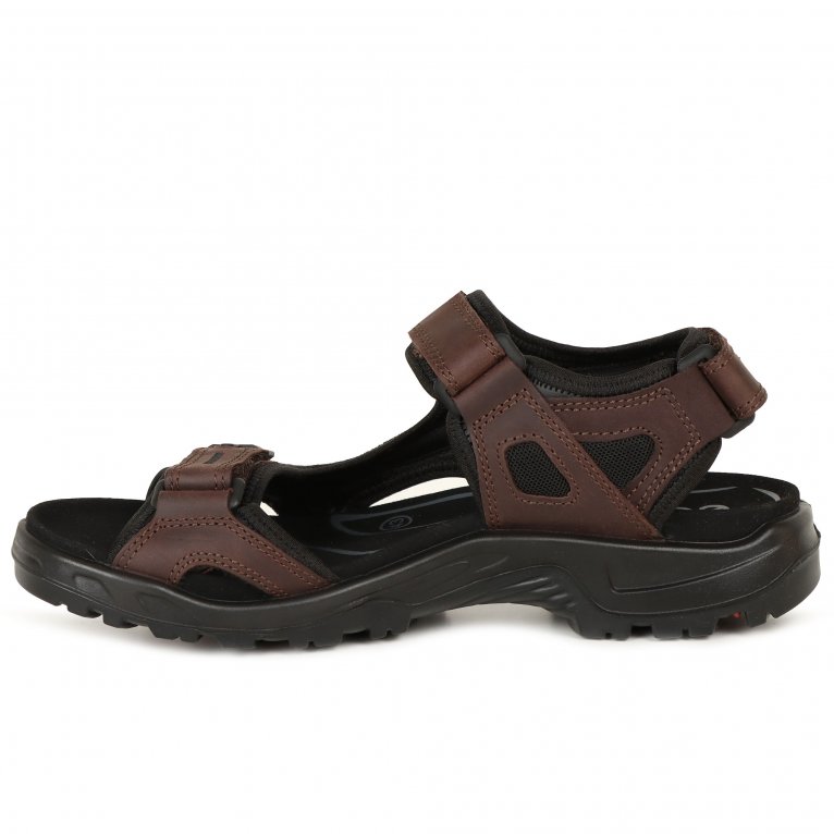 Charles Clinkard Ecco Yucatan Mens Rip Tape Fastening Sandals