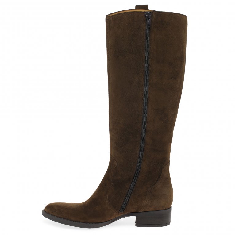 Charles Clinkard Gabor Garden Womens Knee High Boots