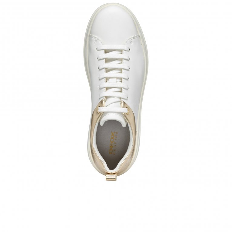 Charles Clinkard Geox D Spherica Ecub-2 Womens Trainers